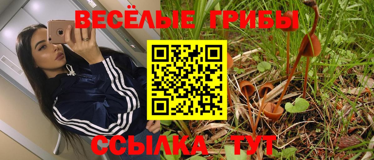 Королёв  Галлюциногенные грибы Psilocybe  Вход с VPN  Псилоцибиновые грибы MAGIC MUSHROOMS 
